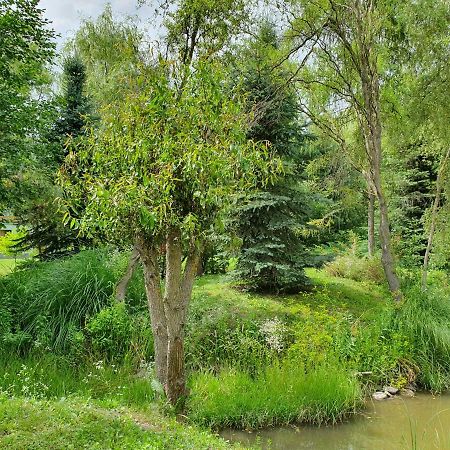 Kamilla Kulcsoshaz Villa Sub Cetate Buitenkant foto
