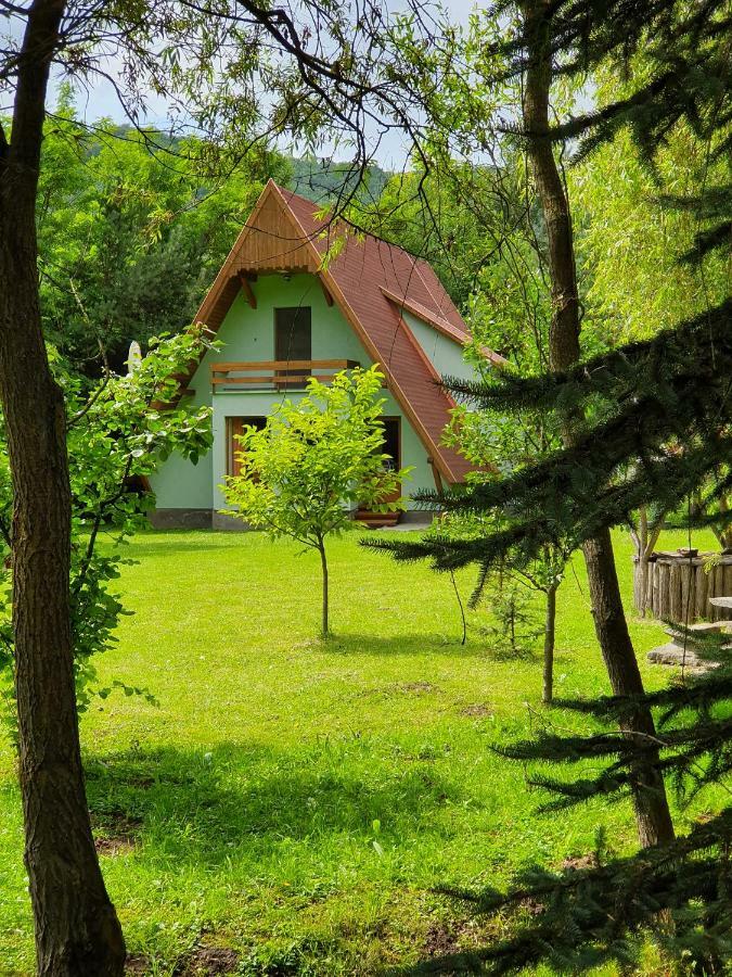 Kamilla Kulcsoshaz Villa Sub Cetate Buitenkant foto