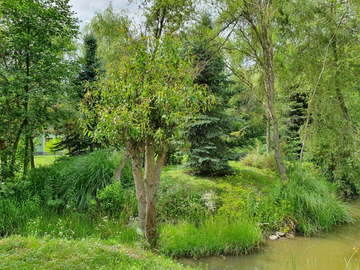 Kamilla Kulcsoshaz Villa Sub Cetate Buitenkant foto