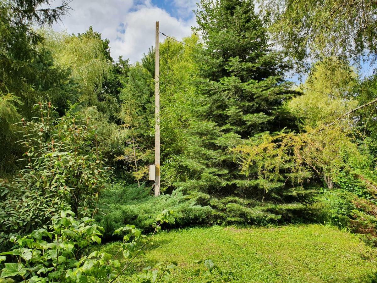 Kamilla Kulcsoshaz Villa Sub Cetate Buitenkant foto